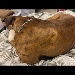 Meet your Posher, April